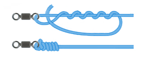 kn2