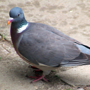 th