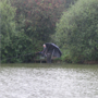 th